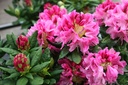 RHMHECKE_20220401110741.JPG
