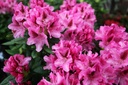 RHMHECKE_20220401110854.JPG