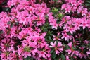 RHMHECKE_20220401111057.JPG
