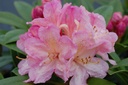 RHPWISEM_20090427100711.jpg