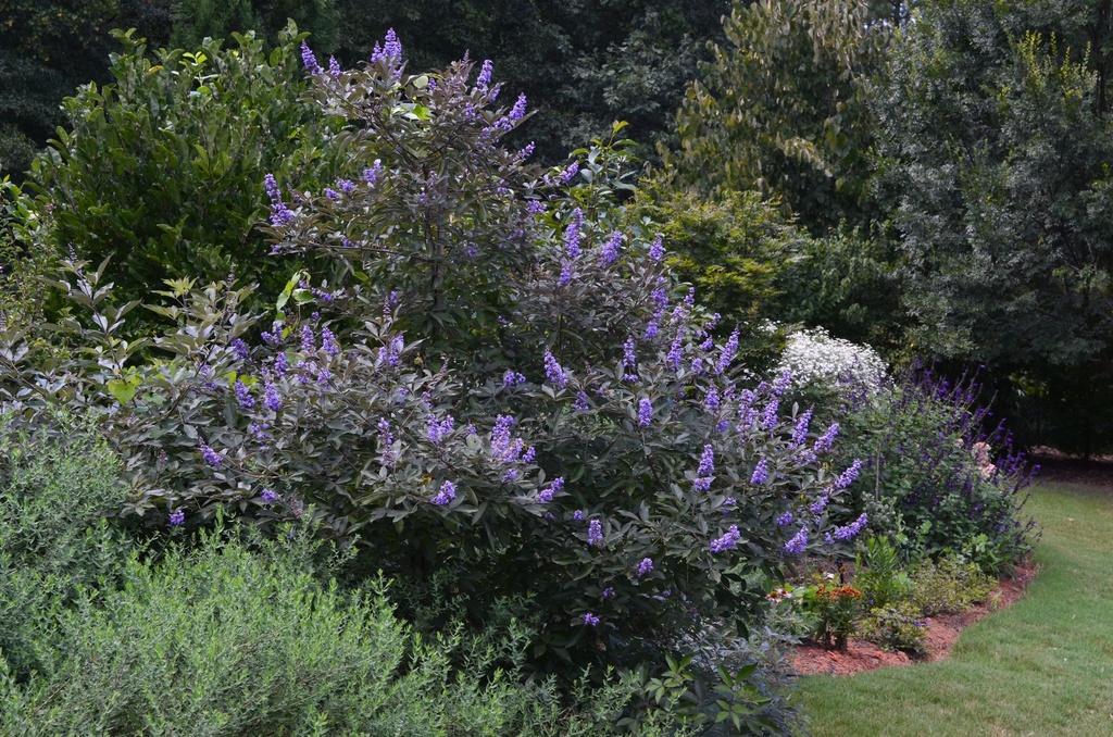 VIACFSID_20160903234044.JPG