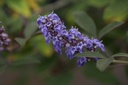 VIACFSID_20170808210905.jpg