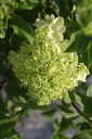HYPPBEAR_20250702080933.JPG