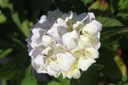HYMEMOUI_20250630094143.JPG