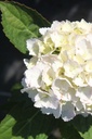 HYMEMOUI_20250630094158.JPG