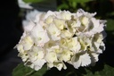 HYMEMOUI_20250630094202.JPG