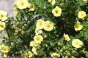 POFLMERI_20250630113806.JPG