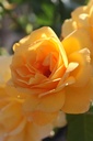 ROMELLGO_20250630095137.JPG