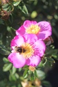 RORJALIC_20250630092715.JPG