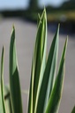 YUFBEDGE_20250630091706.JPG
