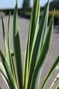 YUFBEDGE_20250630091709.JPG