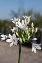 AGATWIST_20250701075908.JPG