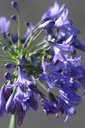 AGWSTORM_20250701080434.JPG