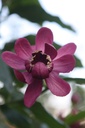 CAAPHROD_20250701074713.JPG