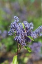 CEPMBLEU_20250701112249.JPG