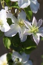 CLYUKIKO_20250701093649.JPG