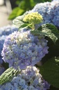 HYMESORI_20250701074100.JPG