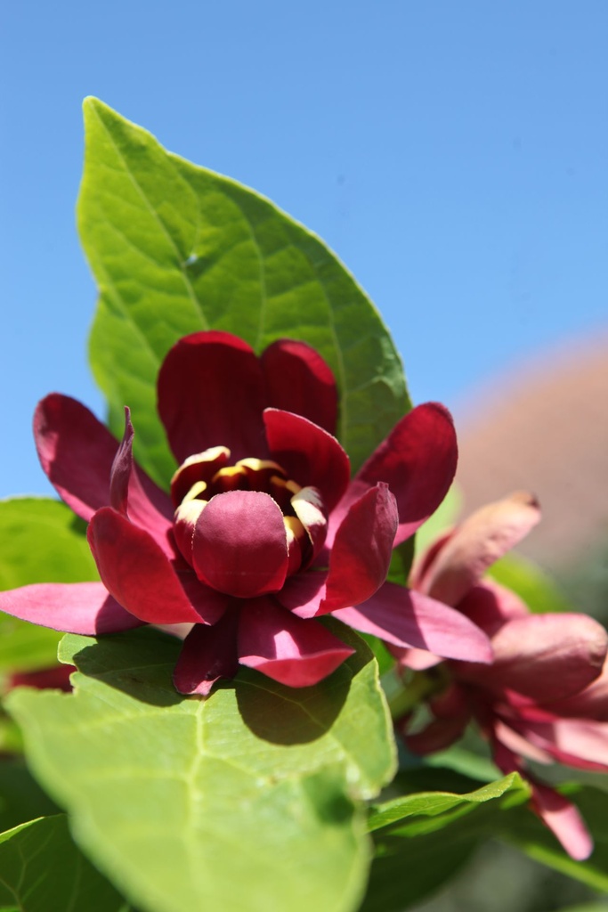 CAAPHROD_20250703142926.JPG