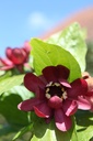 CAAPHROD_20250703142932.JPG