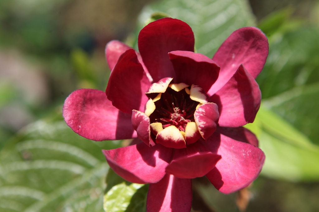 CAAPHROD_20250703143004.JPG