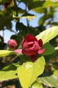 CAAPHROD_20250703143018.JPG