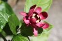 CAAPHROD_20250703143036.JPG