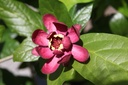 CAAPHROD_20250703143047.JPG