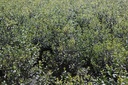 OSBURKWO_20250703095315.JPG
