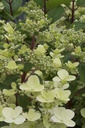 HYPWRED_20120628142554.jpg