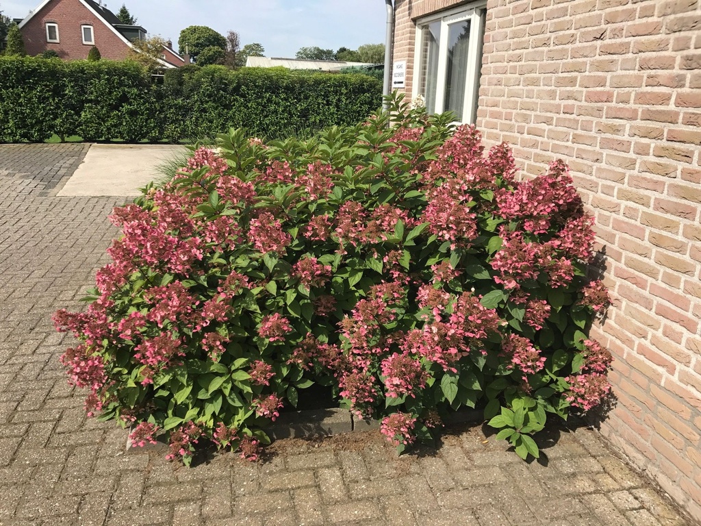 HYPWRED_20190710093002.jpg