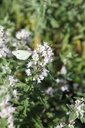 CACPPERF_20250702104056.JPG