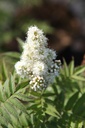 SOSPHOPI_20250702104918.JPG