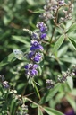 VIACQBEE_20250702101313.JPG
