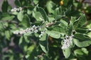 VIMCBLUE_20250702101552.JPG
