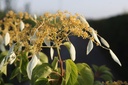 SCHWINDM_20250702075226.JPG