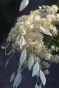SCHWINDM_20250702075231.JPG