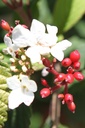 VIPPINKI_20250707154426.JPG