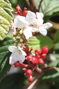 VIPPINKI_20250707154440.JPG
