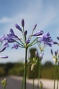 AGSEASTO_20250704114247.JPG