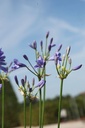 AGSEASTO_20250704114253.JPG