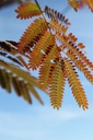 ALJEPRID_20250704100600.JPG