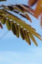 ALJEPRID_20250704100603.JPG