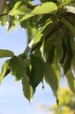 ALJEPRID_20250704100916.JPG