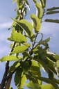 CASBDBET_20250704100917.JPG