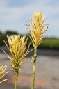 CEHKGOLD_20250704120243.JPG