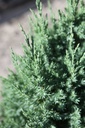 JUCSTRIC_20250704094646.JPG