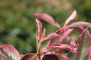 PHFPMARB_20250704114918.JPG