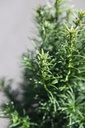 TABFJEWE_20250704120357.JPG