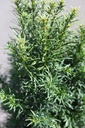 TABFJEWE_20250704120359.JPG