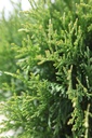 THOGEGG_20250704145758.JPG
